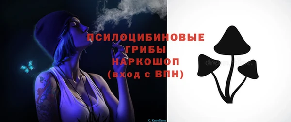 СК Заводоуковск