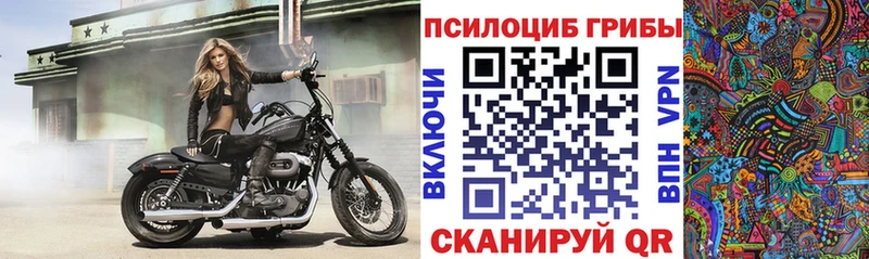 Псилоцибиновые грибы Psilocybe  Купить  Краснослободск 